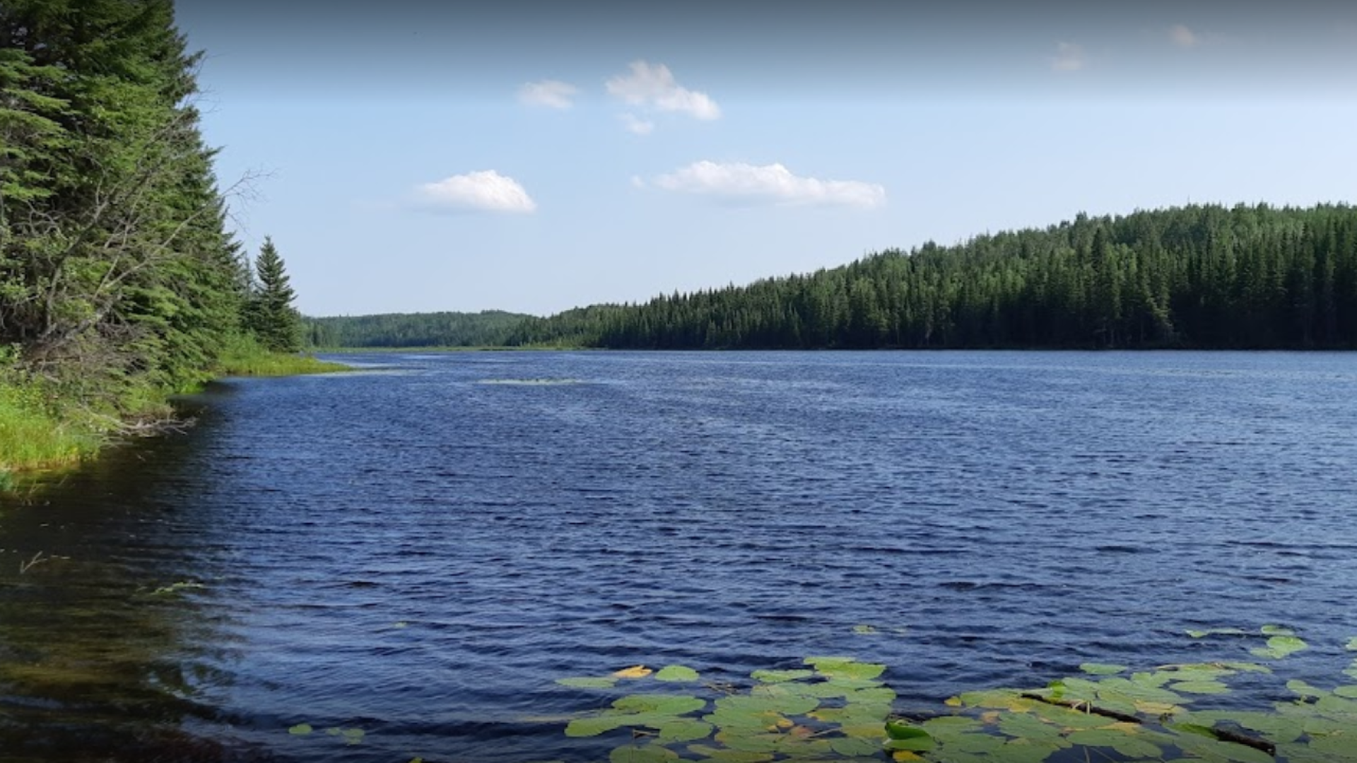 Calm lake surrounded by dense green forest under a blue sky with clouds.