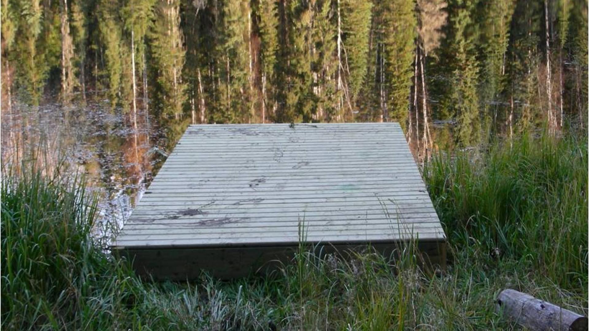 Wooden dock by a calm forest lake at sunset.
