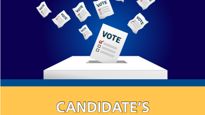 elections candidates guide